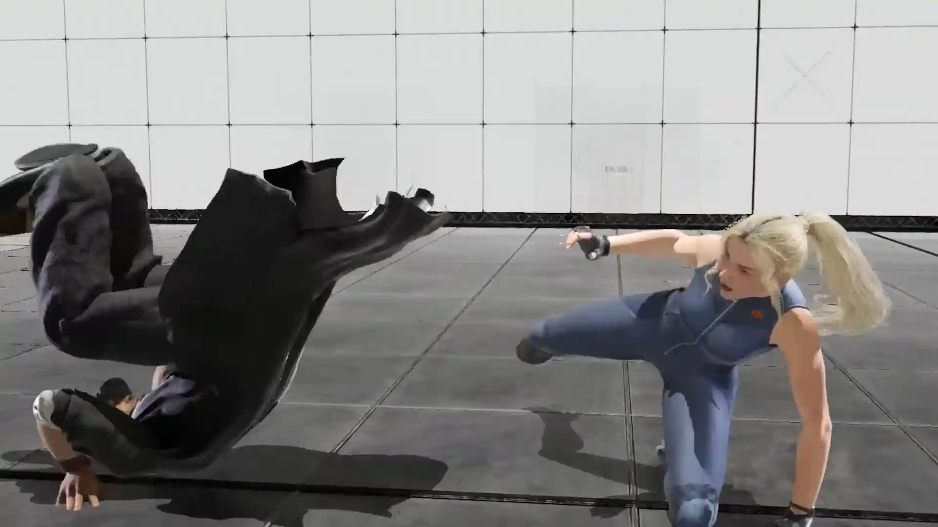 New Virtua Fighter Project