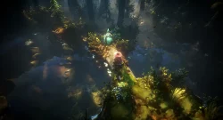 No Rest for the Wicked co-op